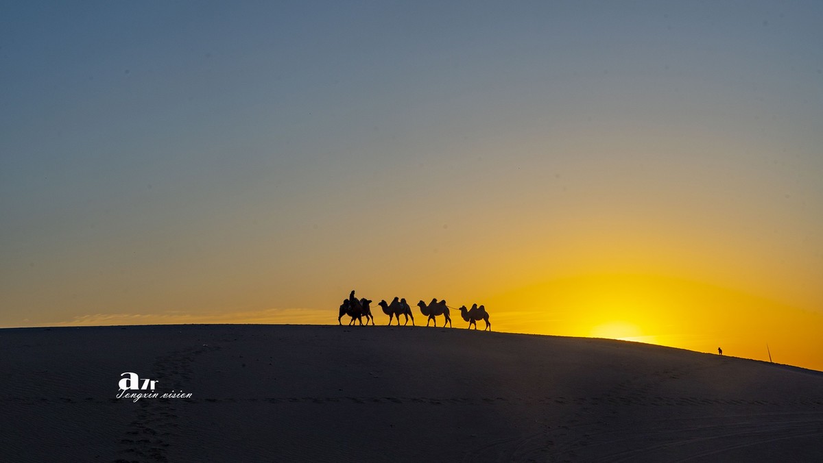 沙漠中的一支驼队（32）