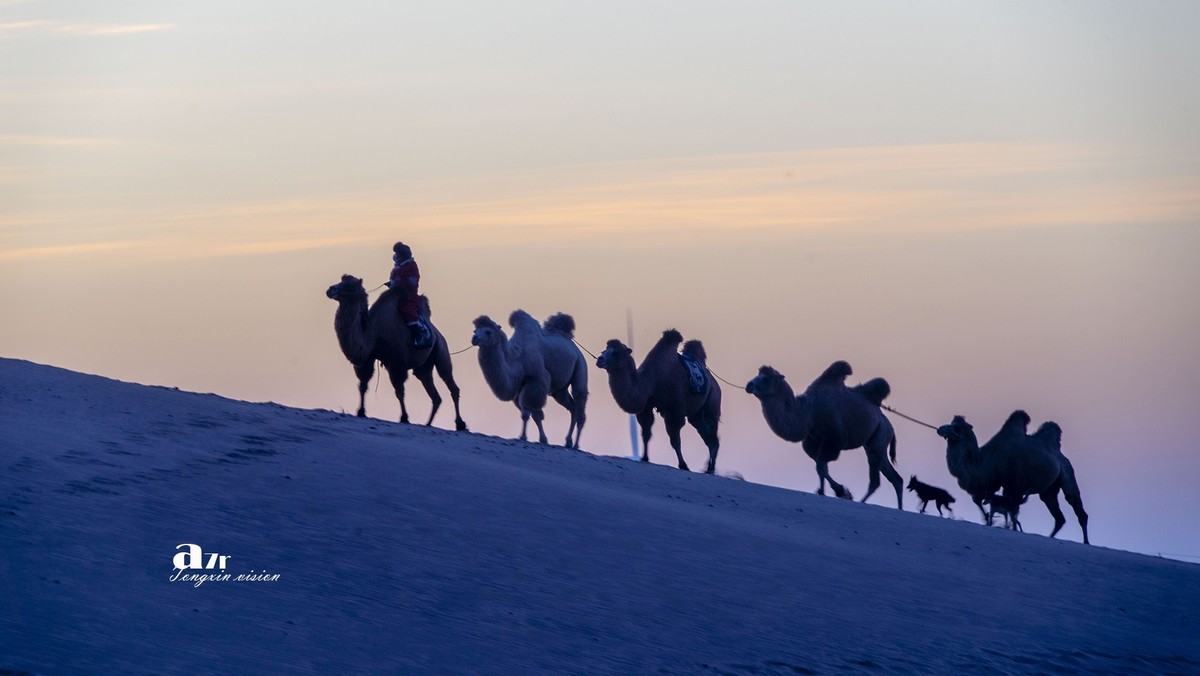 沙漠中的一支驼队（32）