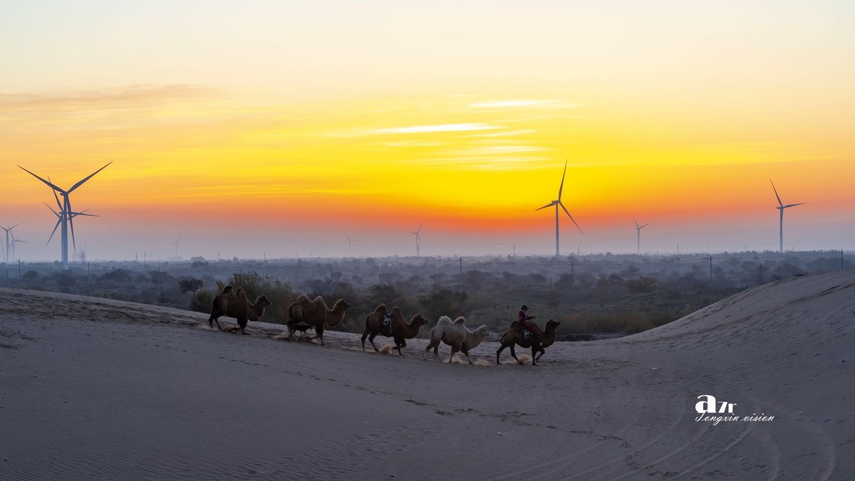 沙漠中的一支驼队（32）