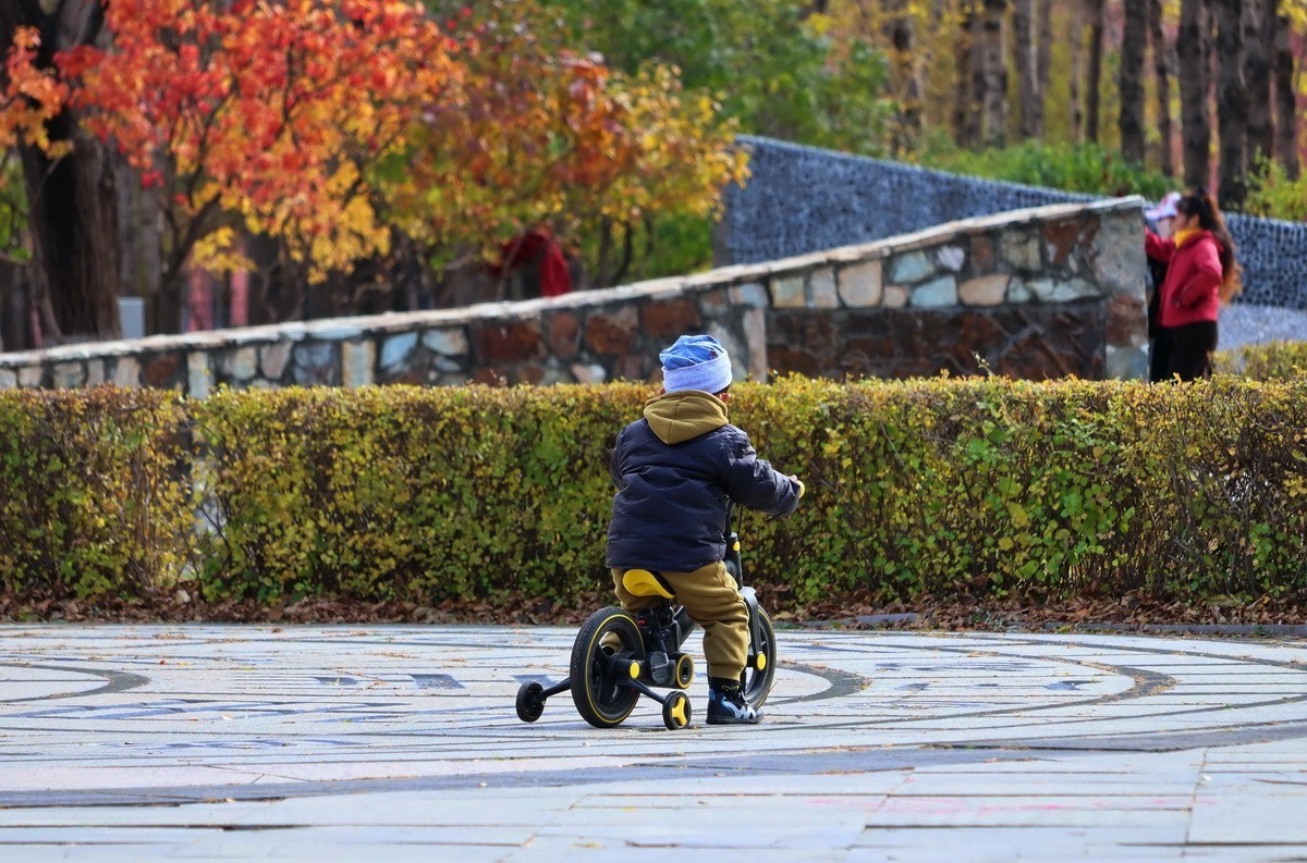 温度骤降下的松乐园