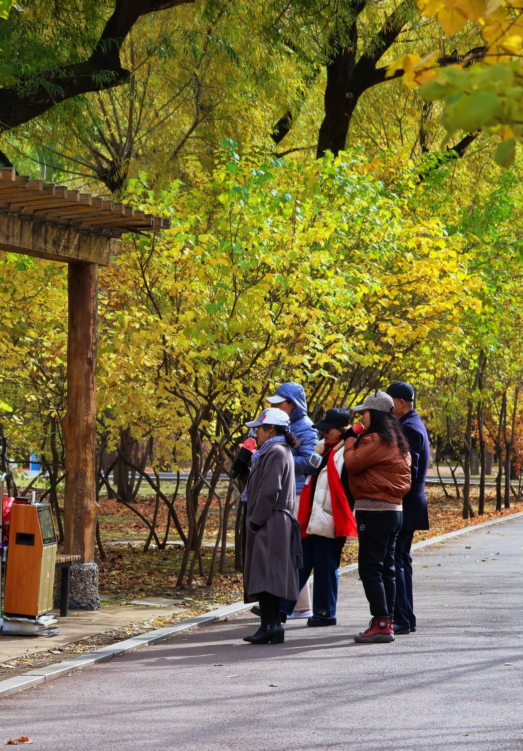 温度骤降下的松乐园