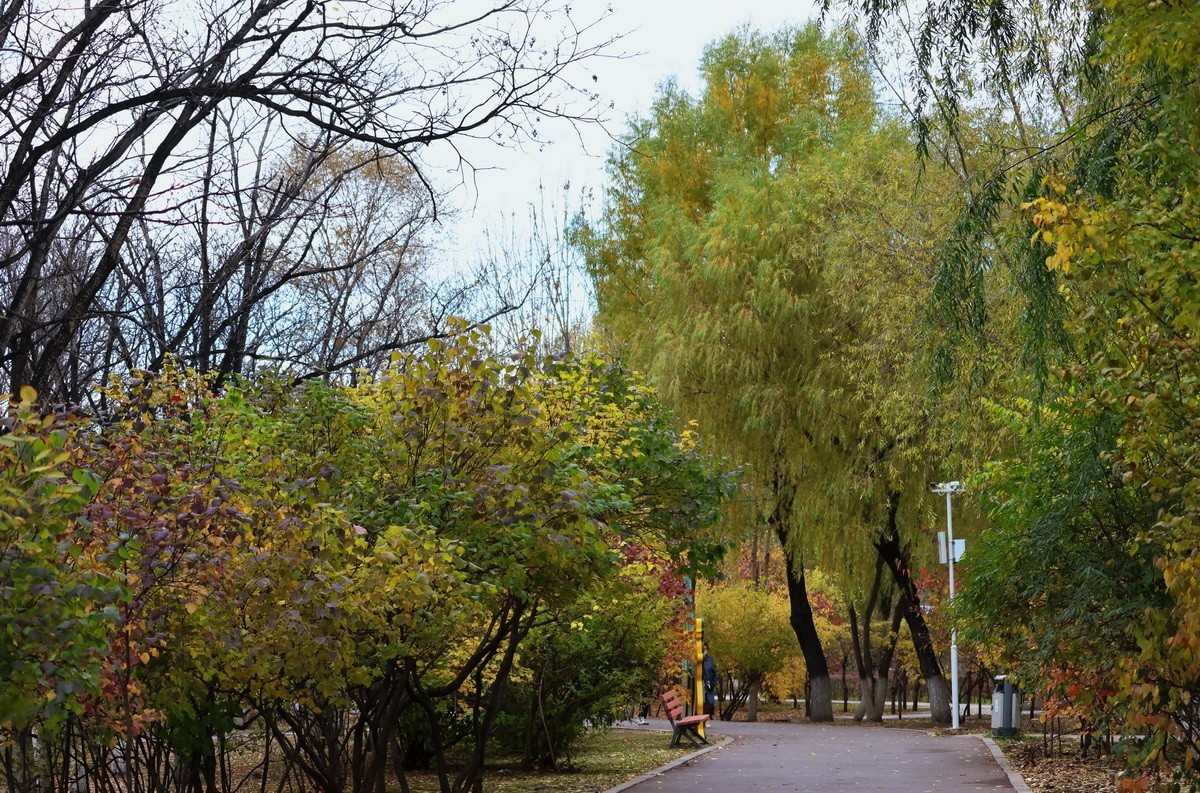 温度骤降下的松乐园