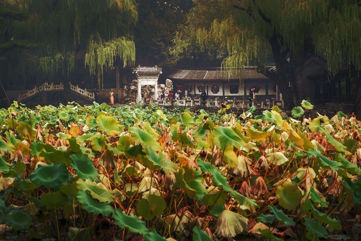 周日下午的谐趣园