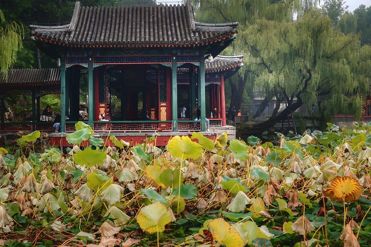 周日下午的谐趣园