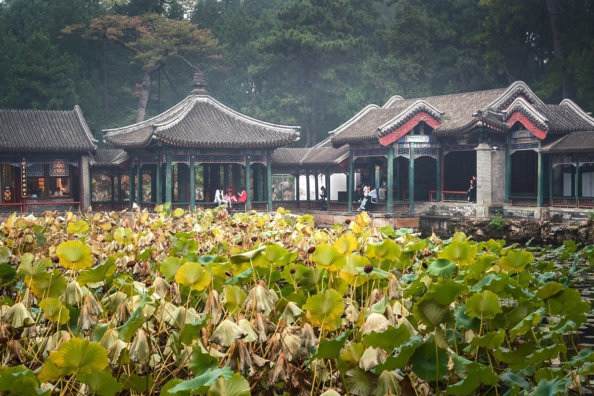 周日下午的谐趣园