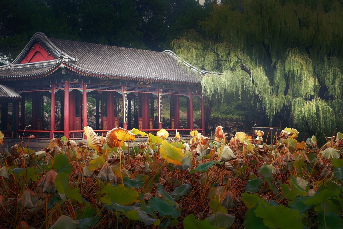 周日下午的谐趣园