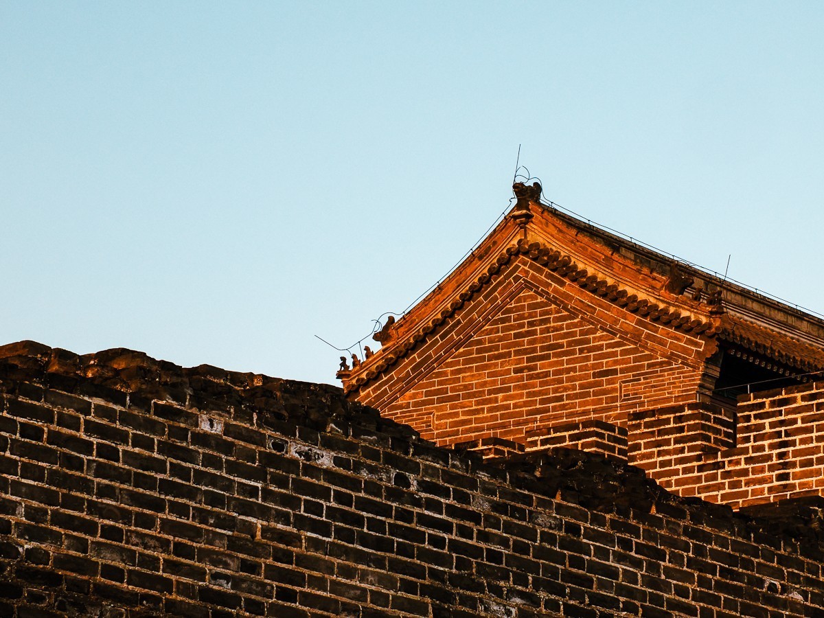 明城墙下探梅香（北京明城墙遗址公园）