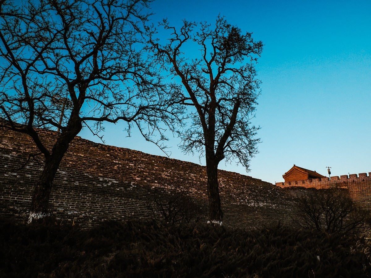 明城墙下探梅香（北京明城墙遗址公园）