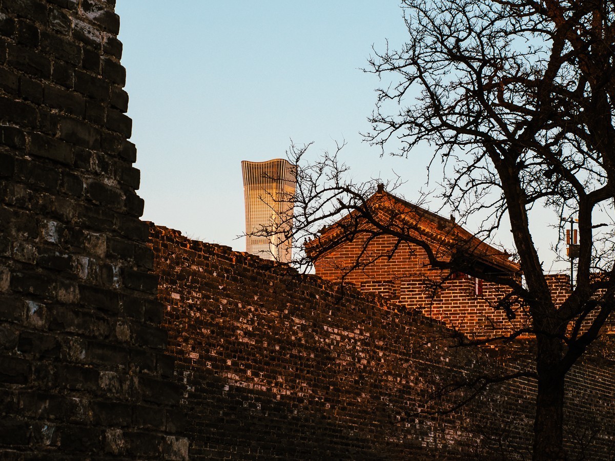 明城墙下探梅香（北京明城墙遗址公园）