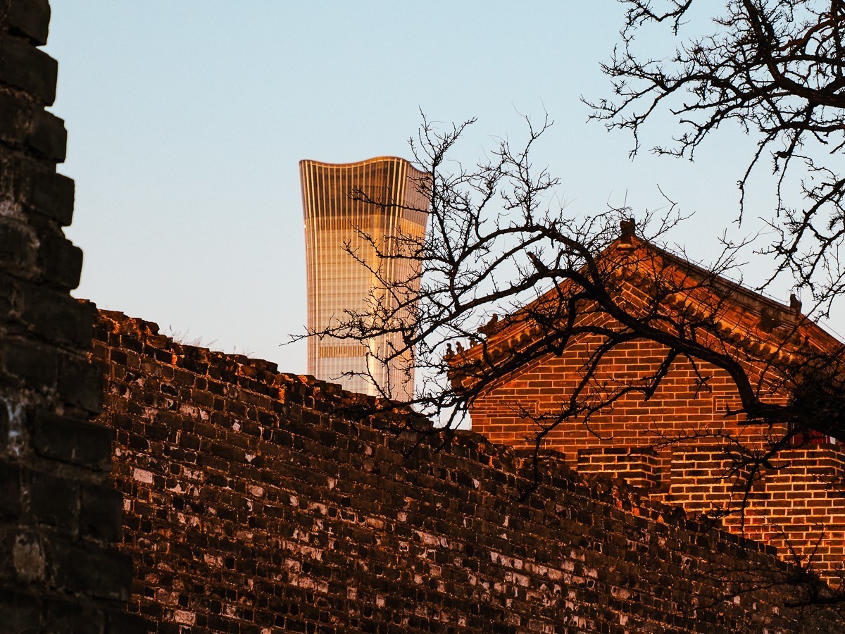 明城墙下探梅香（北京明城墙遗址公园）