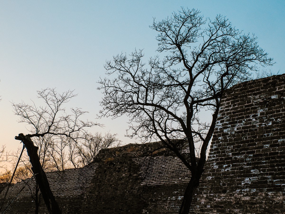 明城墙下探梅香（北京明城墙遗址公园）