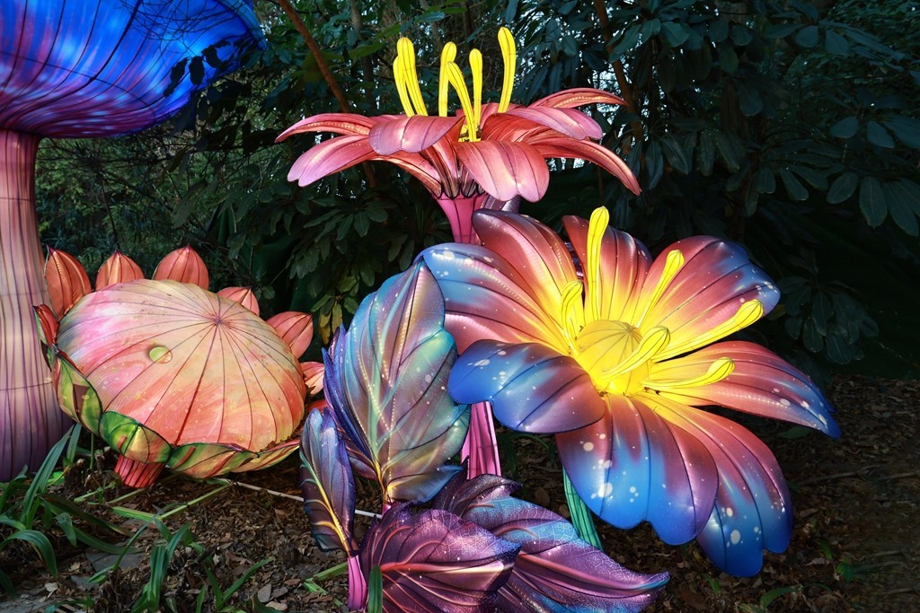 2025年粤港澳大湾区灯会