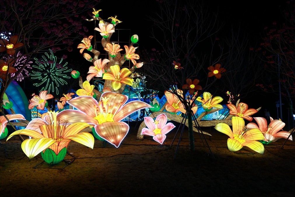 2025年粤港澳大湾区灯会