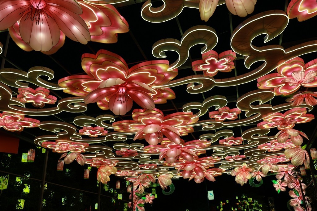 2025年粤港澳大湾区灯会