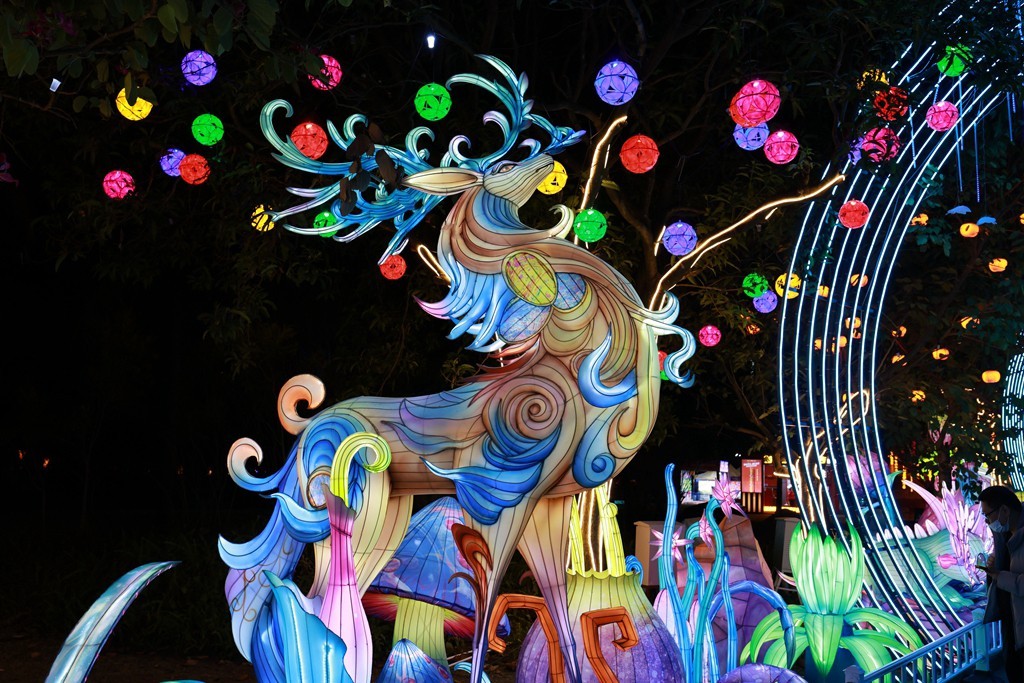 2025年粤港澳大湾区灯会