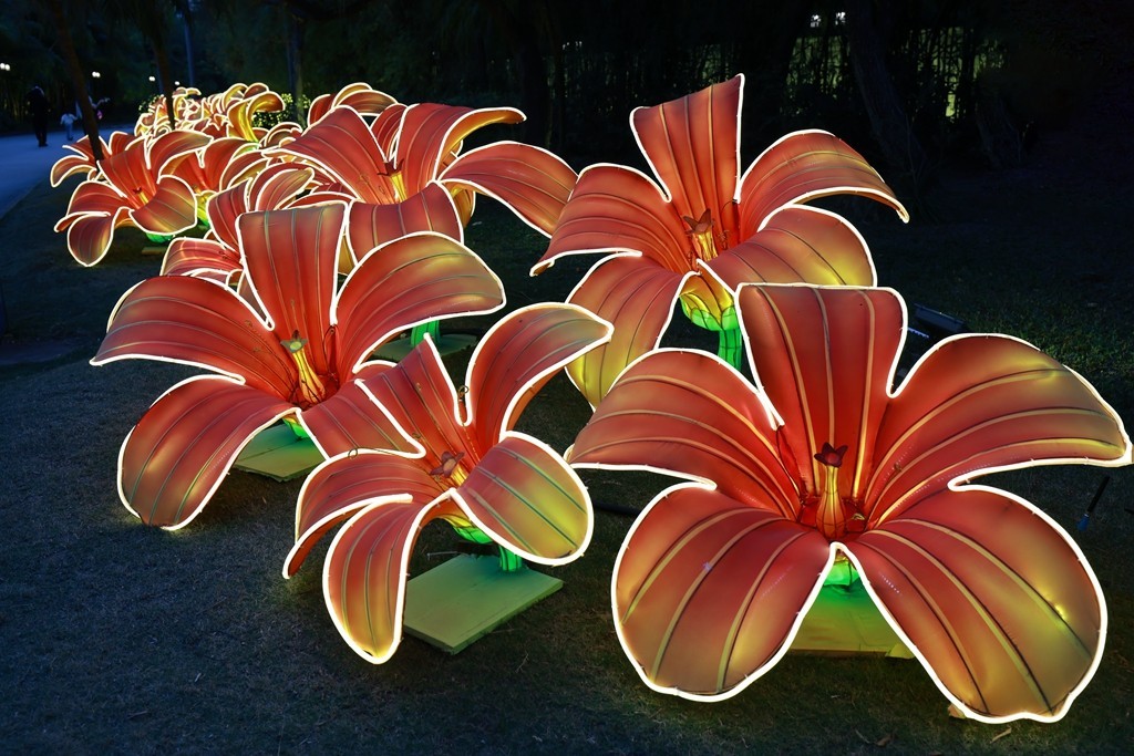 2025年粤港澳大湾区灯会