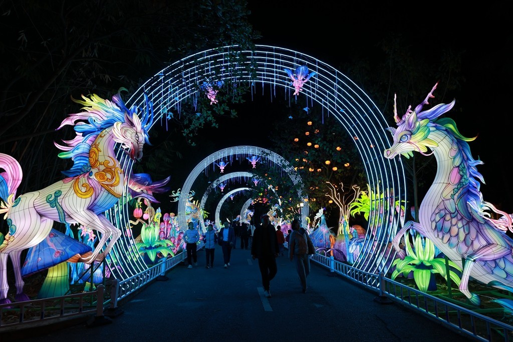 2025年粤港澳大湾区灯会