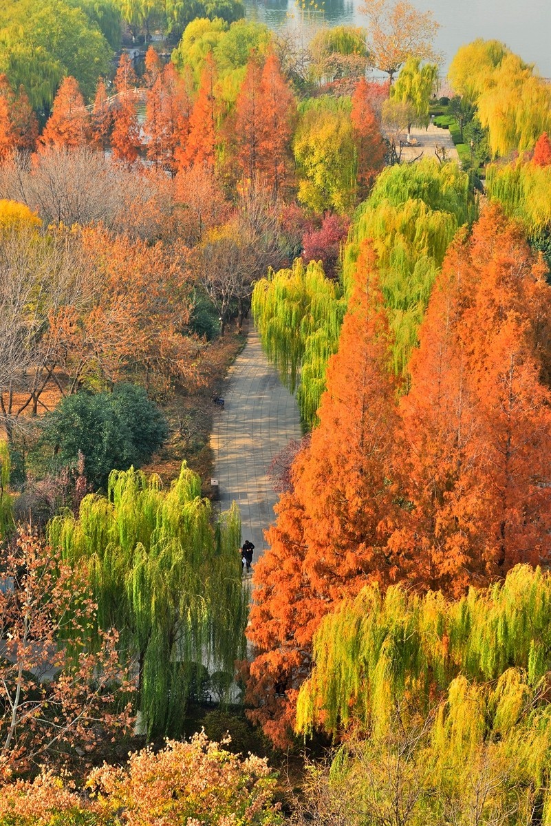 【视觉光影】泉 城 秋 色 （21）