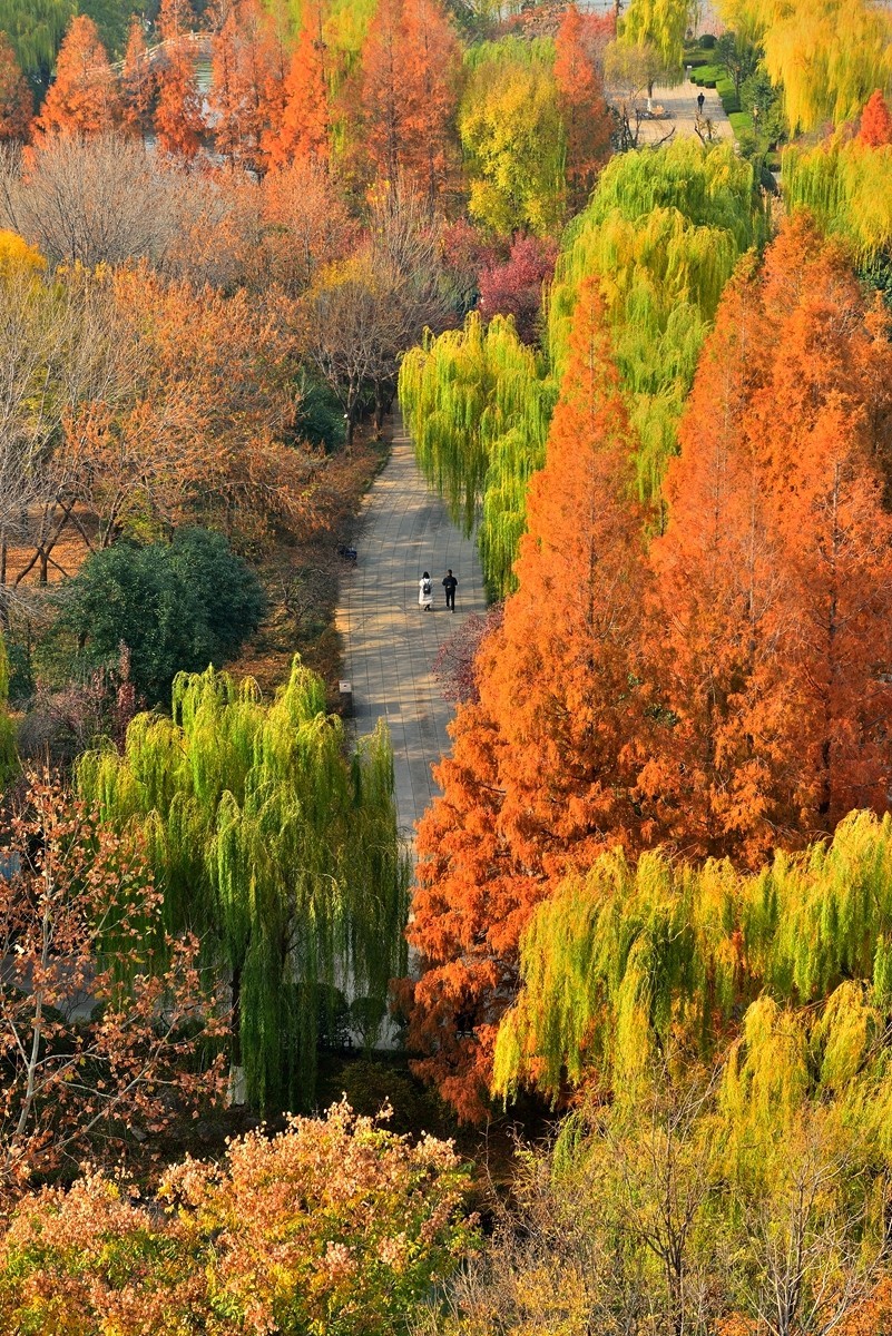 【视觉光影】泉 城 秋 色 （21）