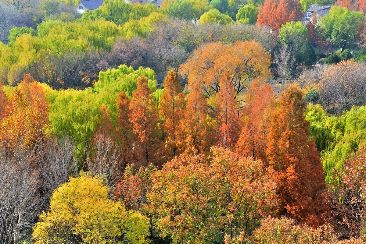 【视觉光影】泉 城 秋 色 （21）