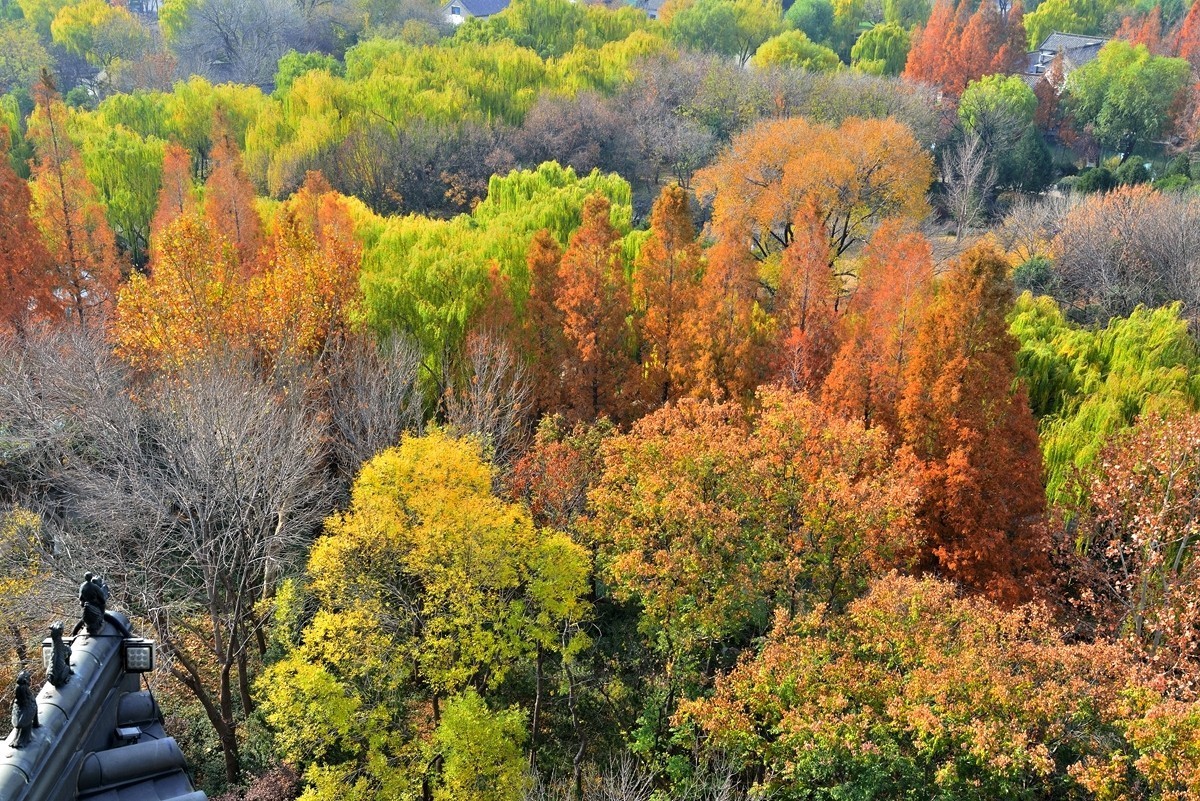 【视觉光影】泉 城 秋 色 （21）