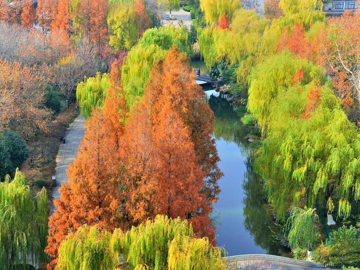 【视觉光影】泉 城 秋 色 （21）