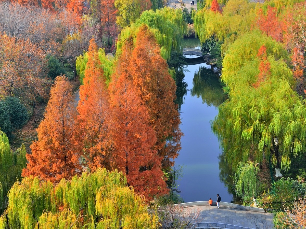 【视觉光影】泉 城 秋 色 （21）