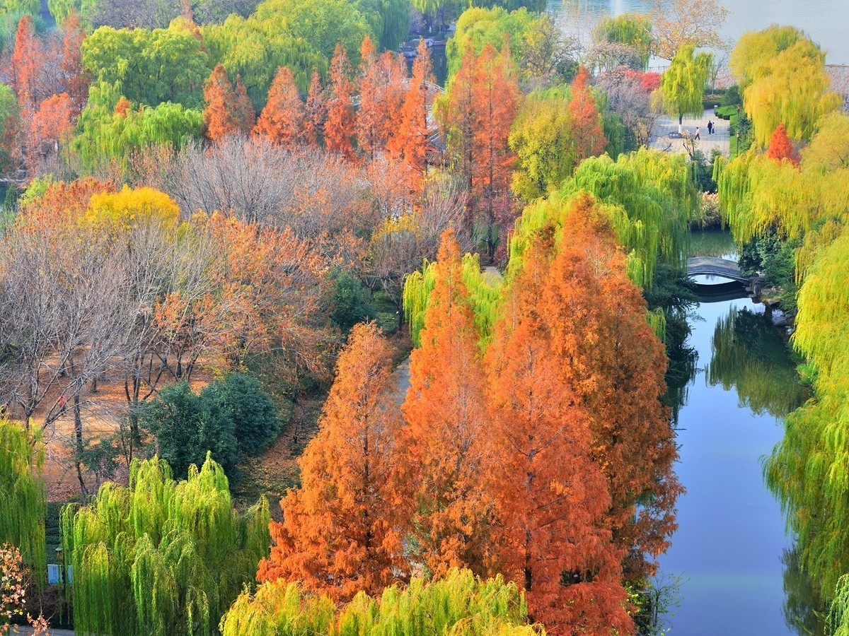 【视觉光影】泉 城 秋 色 （21）