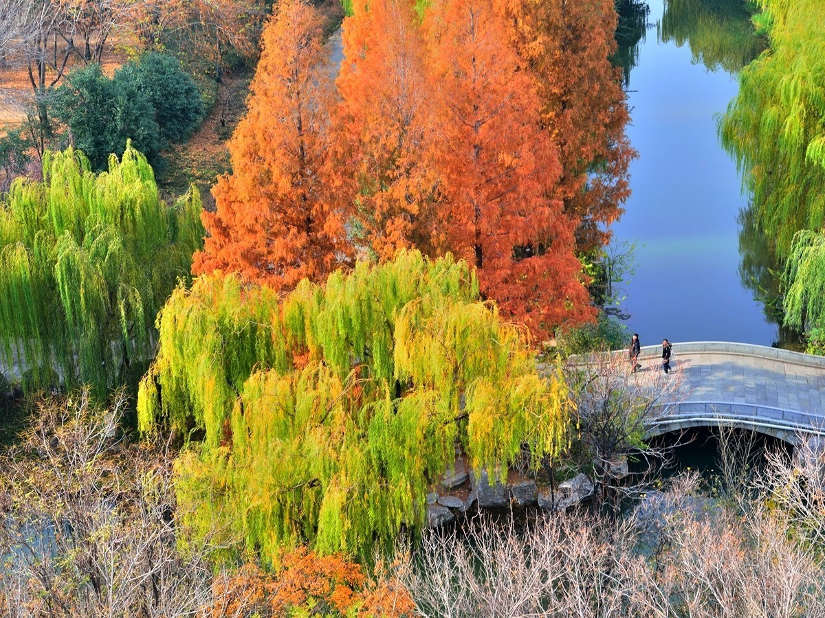 【视觉光影】泉 城 秋 色 （21）