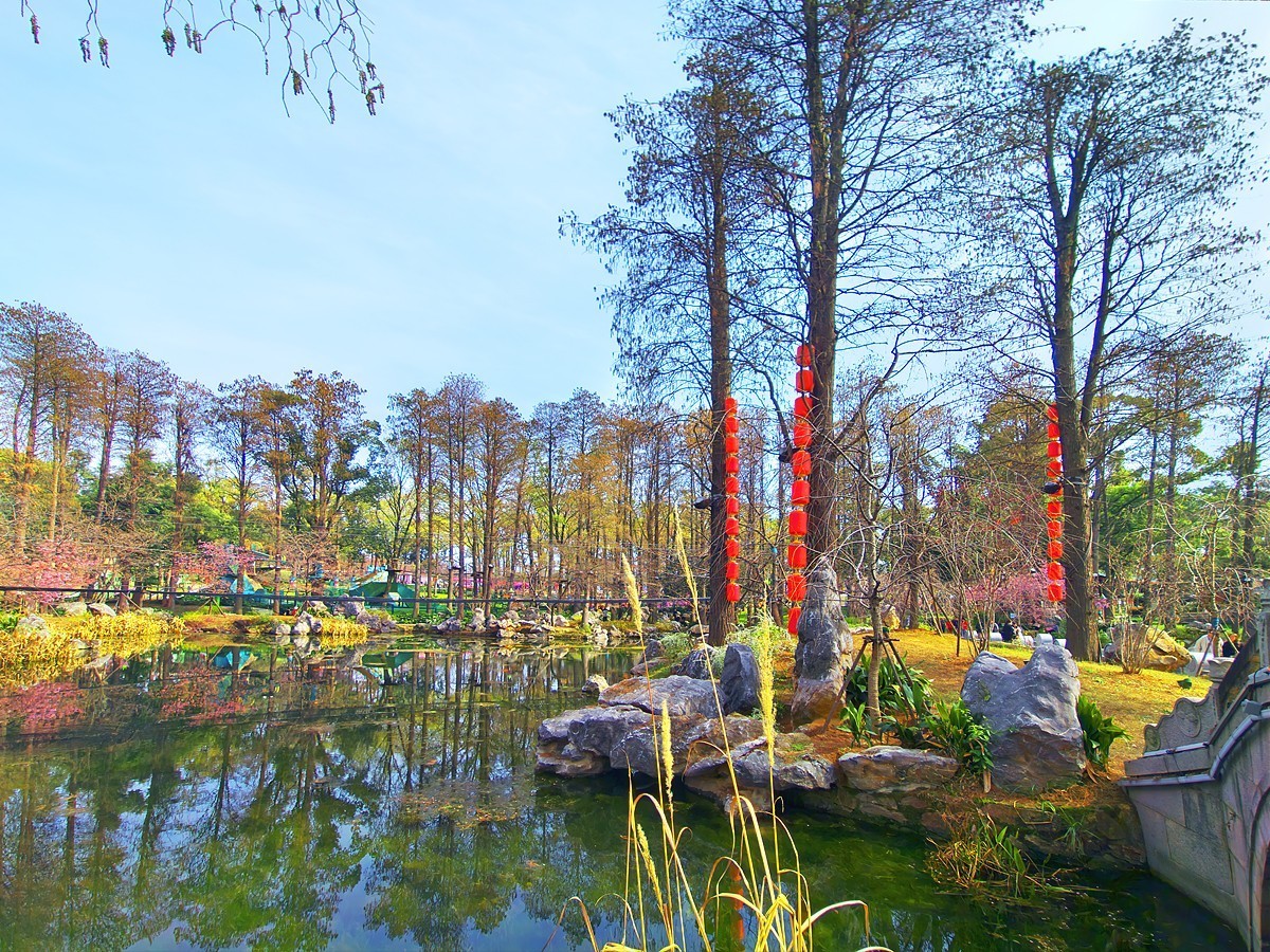 武汉东湖樱花园1