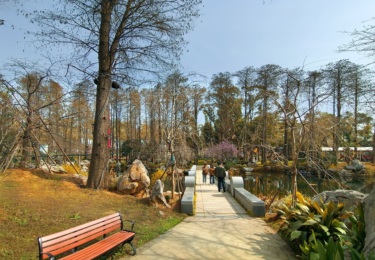 武汉东湖樱花园1