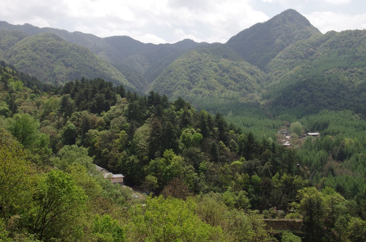 麦积山石窟游记--续