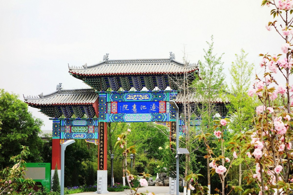 雄安郊野公园
