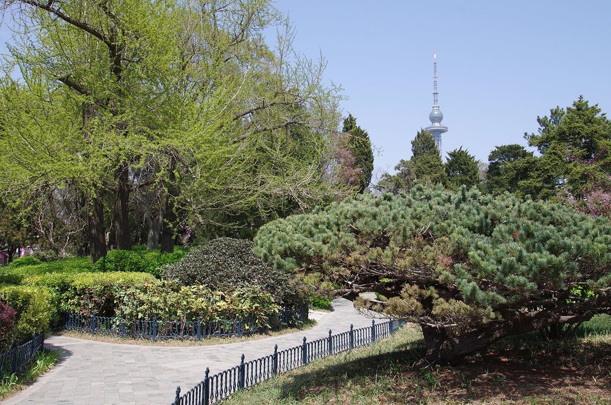 万物生发满园春