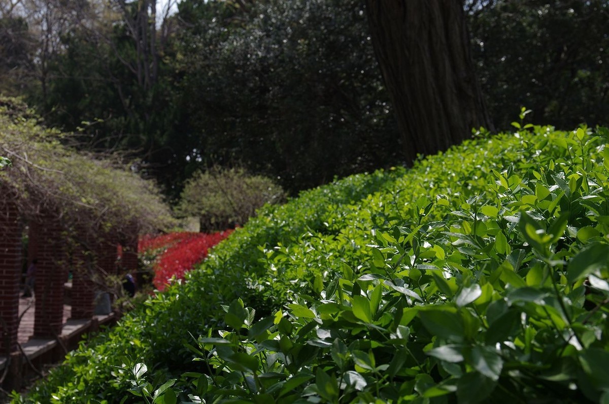 万物生发满园春