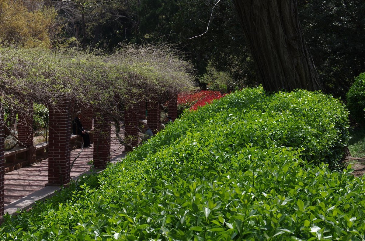 万物生发满园春