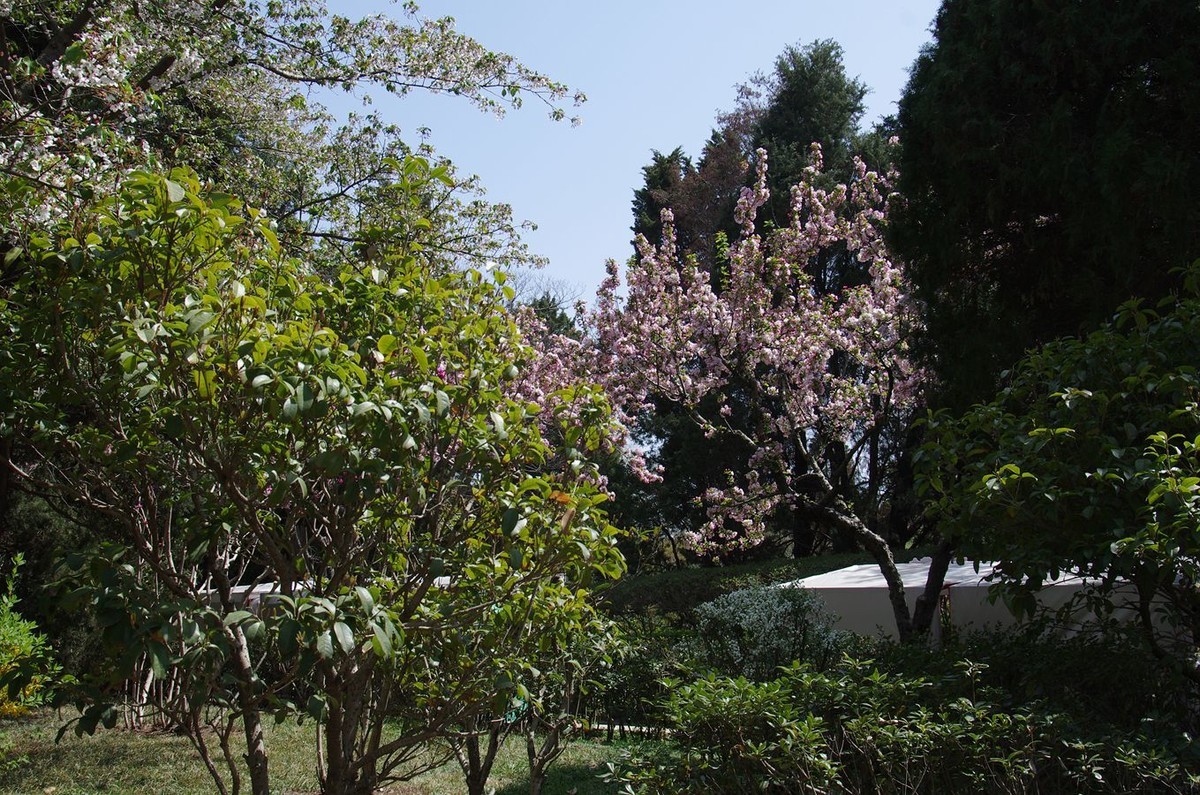 万物生发满园春