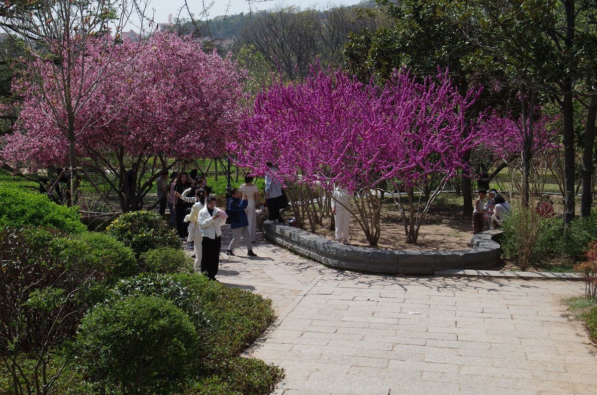 万物生发满园春