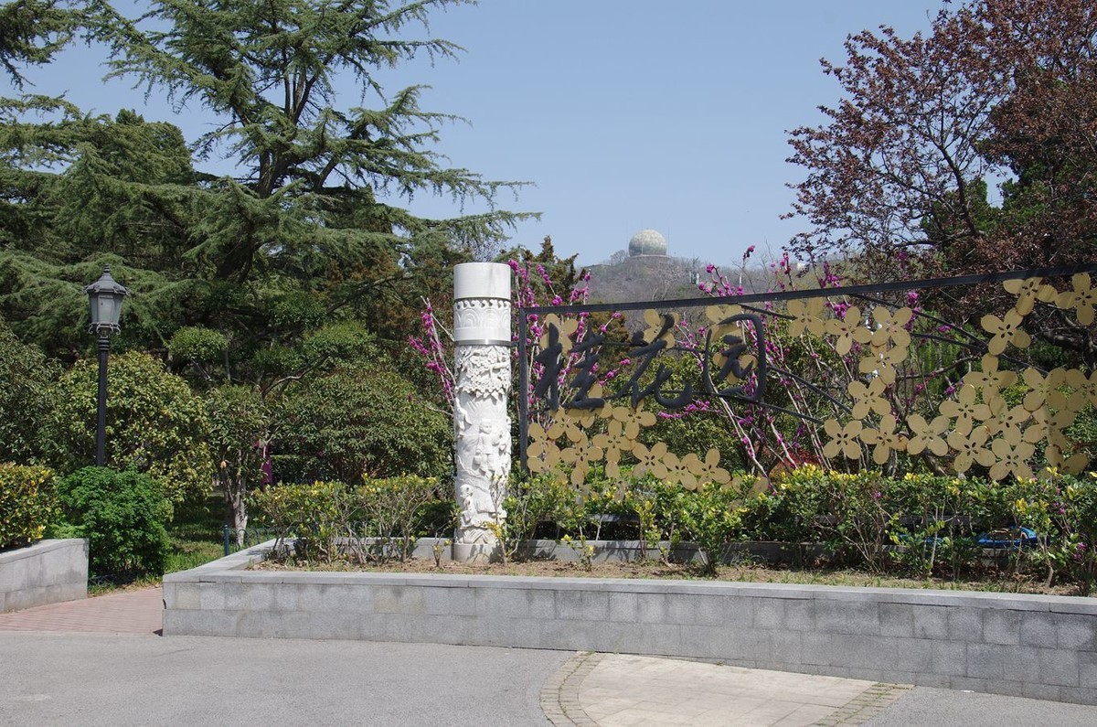 万物生发满园春