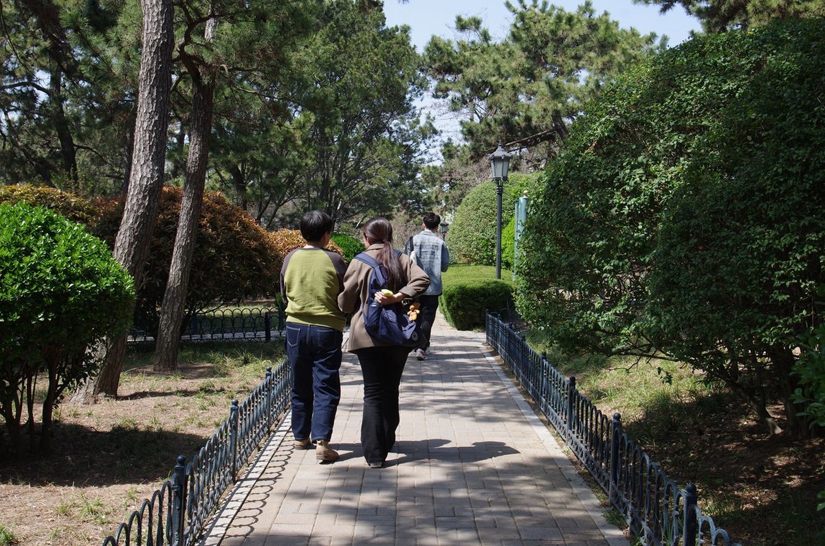 万物生发满园春