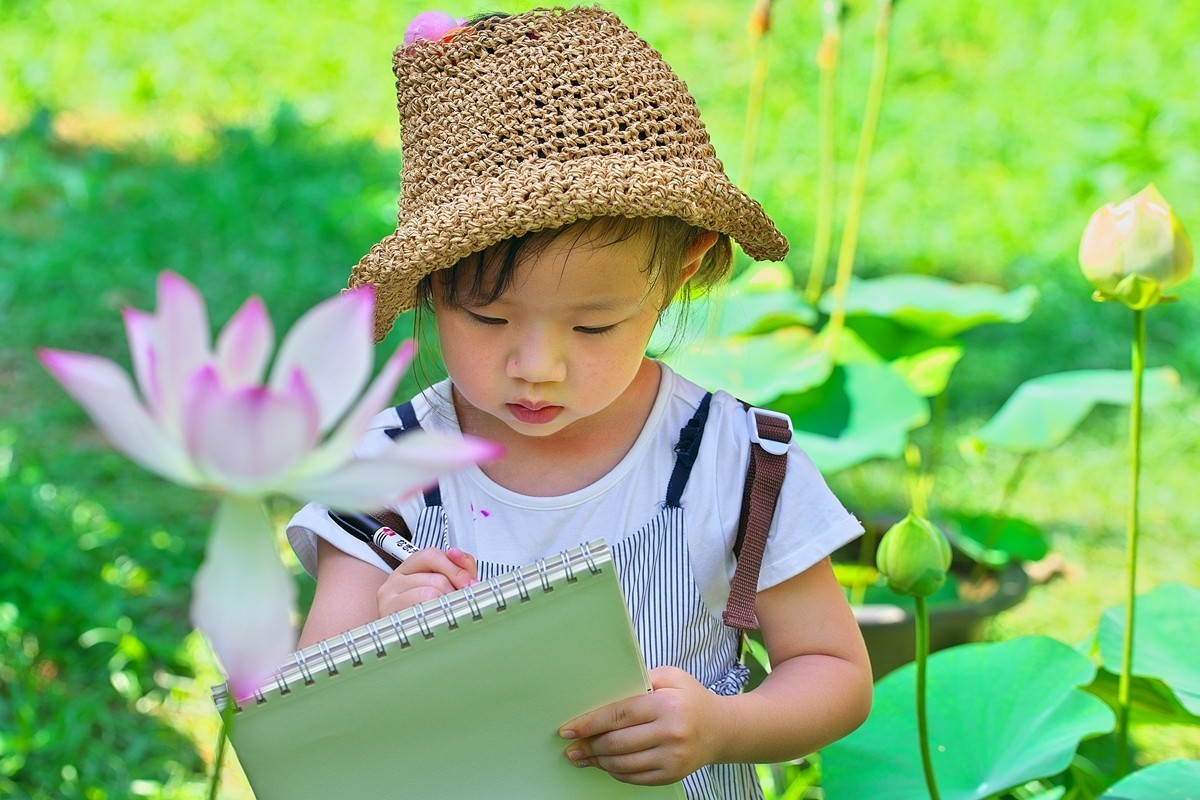 中山植物园荷展随拍