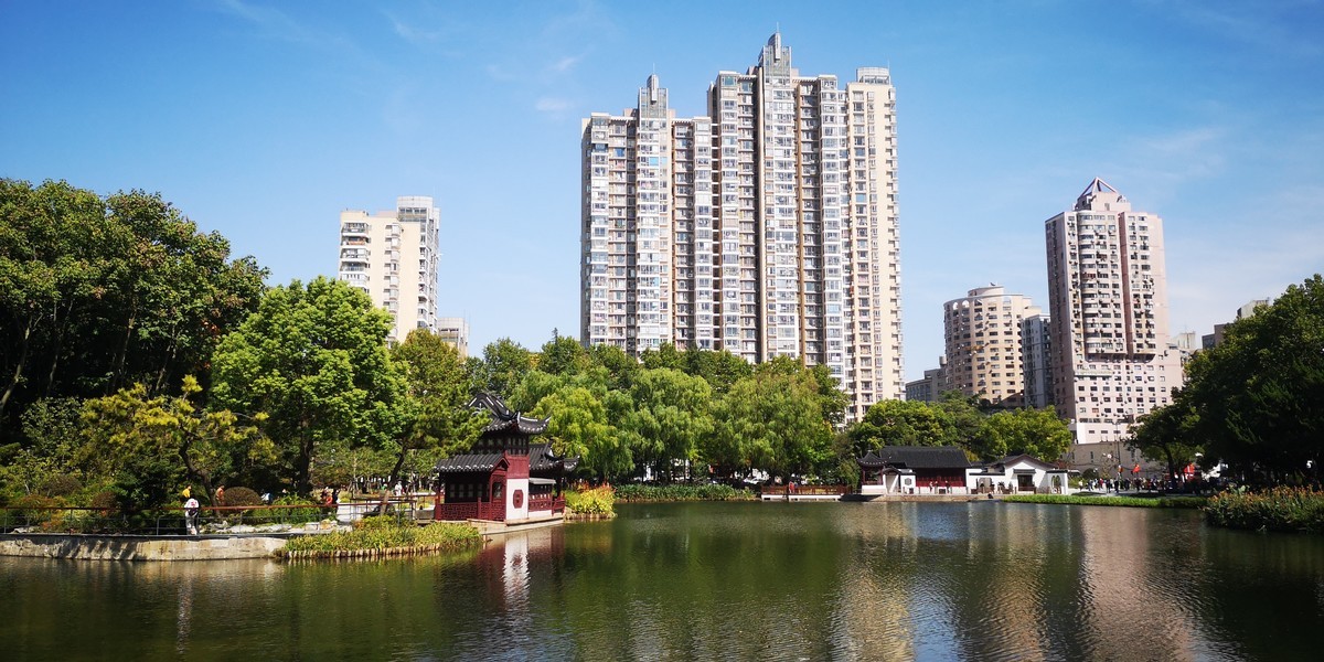 #留住美丽秋天# 上海和平公园