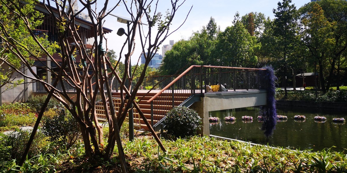 #留住美丽秋天# 上海和平公园