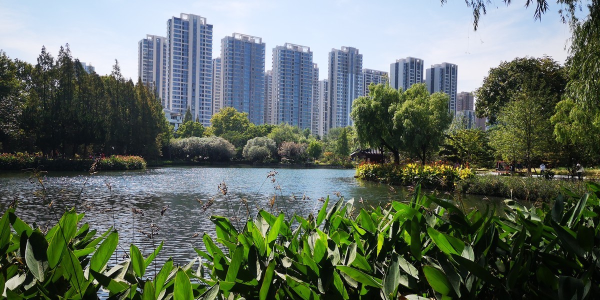 #留住美丽秋天# 上海和平公园