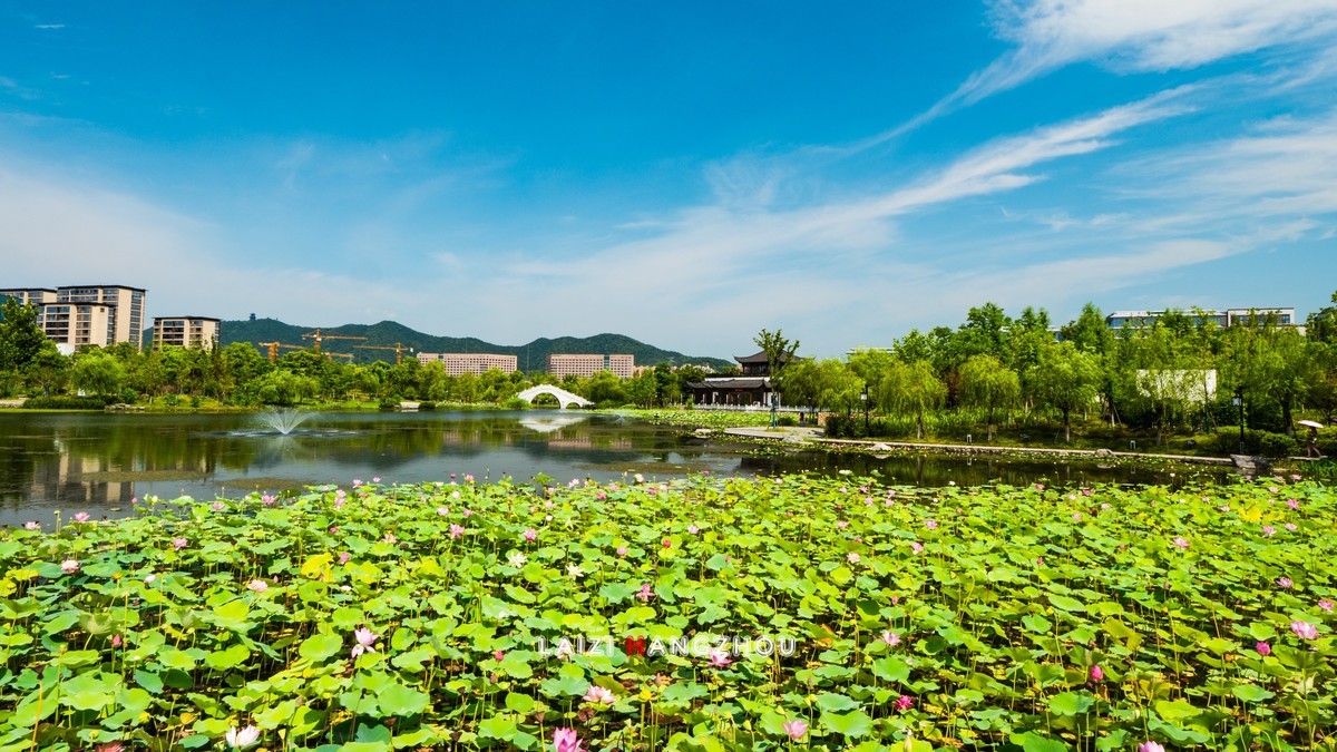 夏景(1)-中关村在线摄影论坛