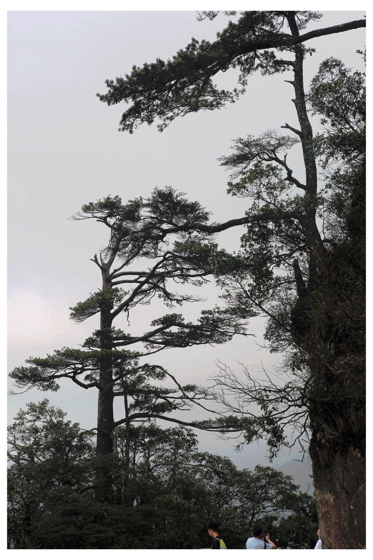 走进郴州莽山览风光