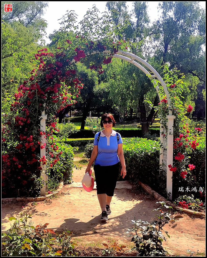 【国家植物园】2.雍容的睡莲款款地绽放