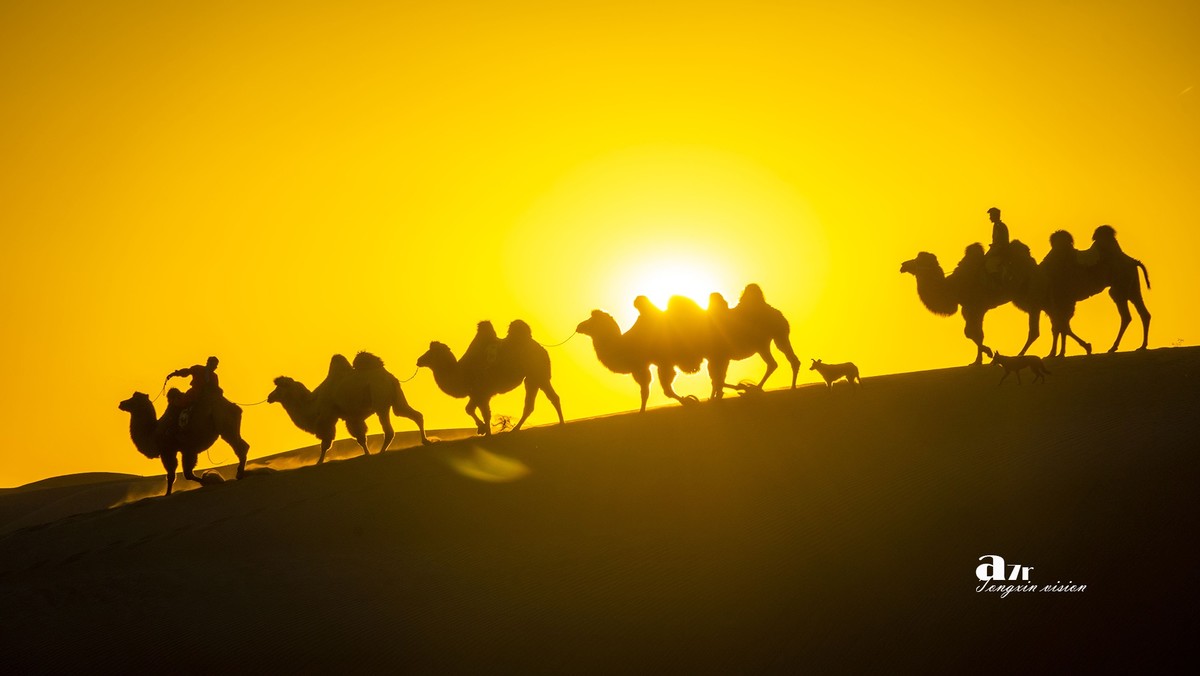 沙漠中的一支驼队（32）