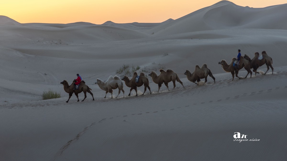 沙漠中的一支驼队（32）