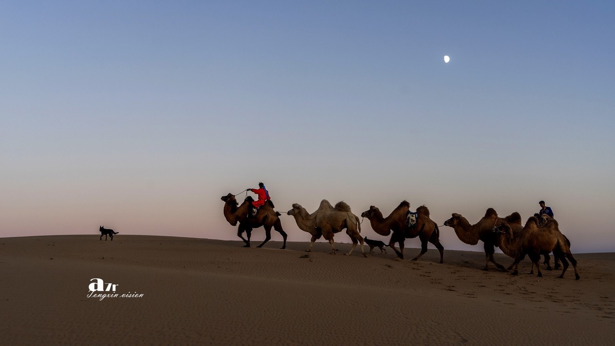 沙漠中的一支驼队（32）